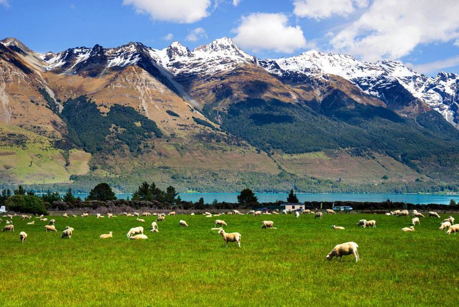 这里告诉你为什么度假要去新西兰 新西兰旅游攻略频道