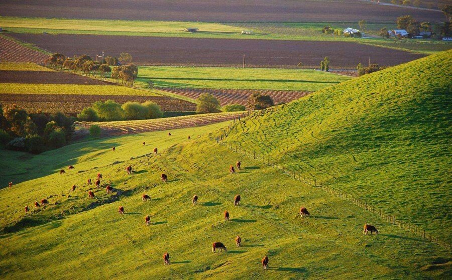 澳大利亚草原气候图片